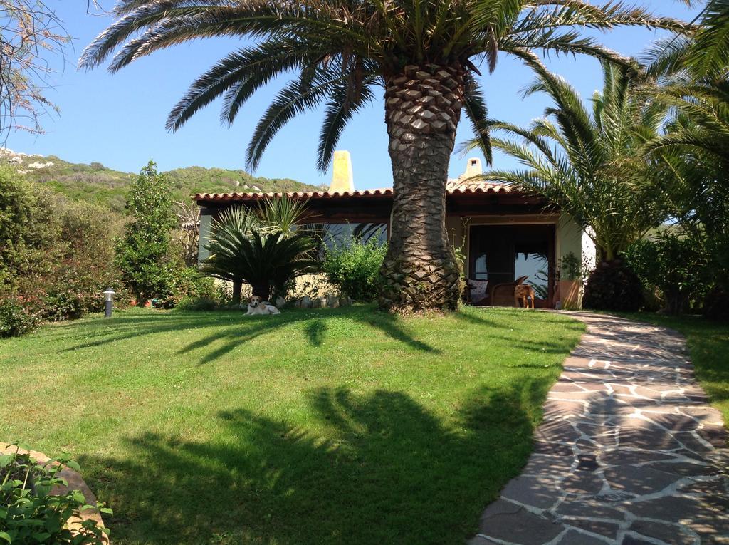 سانتا تيريزا غالّورا Villa Kuky المظهر الخارجي الصورة
