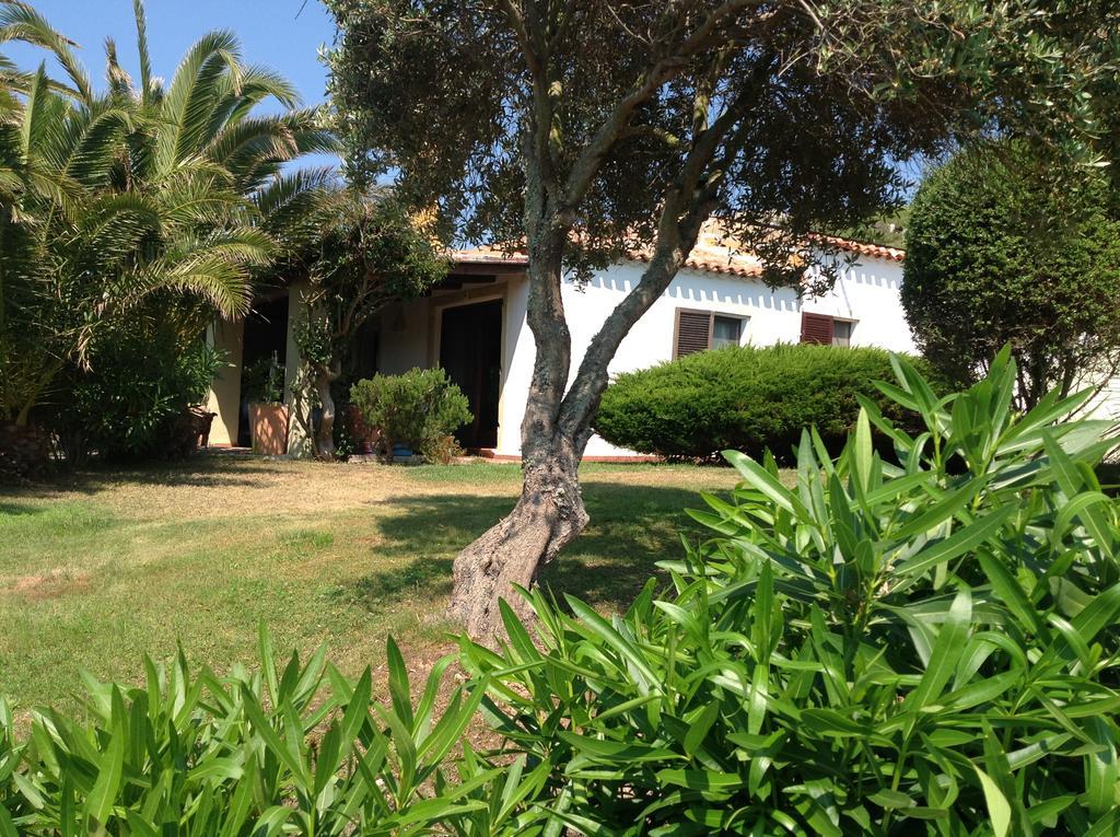 سانتا تيريزا غالّورا Villa Kuky المظهر الخارجي الصورة